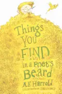 Lucruri pe care le găsești în barba unui poet - Things You Find in a Poet's Beard