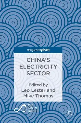 Sectorul energiei electrice din China - China's Electricity Sector