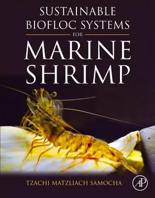 Sisteme biofloc durabile pentru creveții marini - Sustainable Biofloc Systems for Marine Shrimp