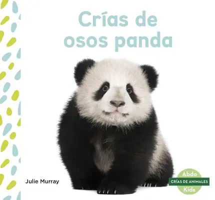 Cras de Osos Panda (Pui de Panda) - Cras de Osos Panda (Panda Cubs)