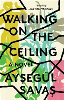 Walking on the Ceiling
