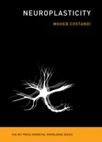 Neuroplasticitate - Neuroplasticity