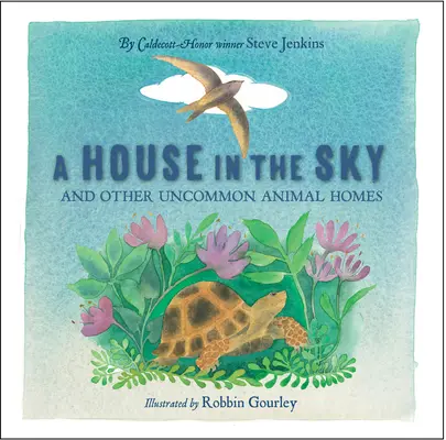 O casă în cer - A House in the Sky