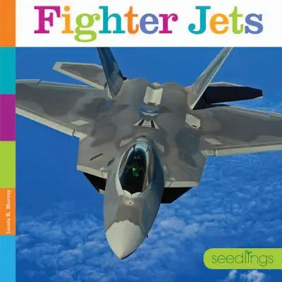 Avioane de luptă - Fighter Jets