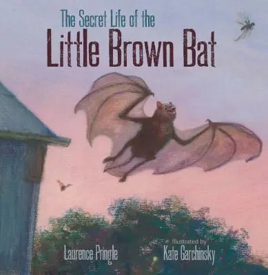 Viața secretă a liliacului brun mic - The Secret Life of the Little Brown Bat