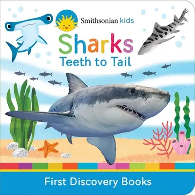Rechinii: De la dinți la coadă - Sharks: Teeth to Tail