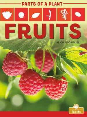 Fructe - Fruits
