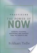 Practicing the Power of Now: Meditații, exerciții și învățături de bază pentru a trăi viața eliberată - Practicing the Power of Now: Meditations, Exercises, and Core Teachings for Living the Liberated Life
