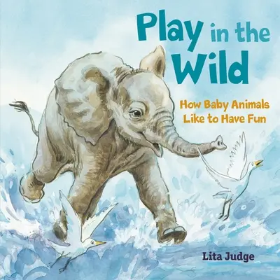 Joaca în sălbăticie: Cum le place animalelor mici să se distreze - Play in the Wild: How Baby Animals Like to Have Fun