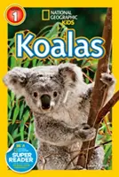 Koala - Koalas