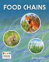 Lanțuri alimentare - Food Chains