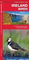 Irlanda Păsări, ediția a 2-a - Un ghid de buzunar pliabil al speciilor familiare - Ireland Birds, 2nd Edition - A Folding Pocket Guide to Familiar Species