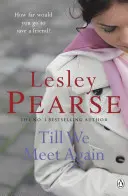 Till We Meet Again - Romanul de nerefuzat al autoarei bestsellerului Sunday Times Liar - Till We Meet Again - The unputdownable novel from the Sunday Times bestselling author of Liar