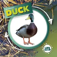 Rață - Duck