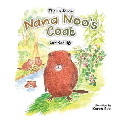 Povestea hainei lui Nana Noo - The Tale of Nana Noo's Coat