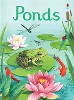 Iazuri - Ponds