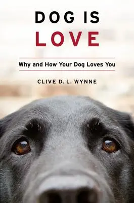 Câinele este iubire: De ce și cum te iubește câinele tău - Dog Is Love: Why and How Your Dog Loves You