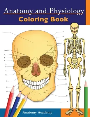 Anatomie și fiziologie Carte de colorat: Incredibil de detaliat Auto-test Carte de lucru color pentru studiu - Cadou perfect pentru studenții de la Facultatea de Medicină, medici, N - Anatomy and Physiology Coloring Book: Incredibly Detailed Self-Test Color workbook for Studying - Perfect Gift for Medical School Students, Doctors, N