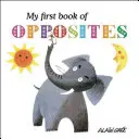 Prima mea carte a contrariilor - My First Book of Opposites