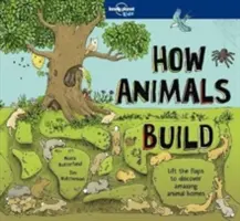 Cum construiesc animalele - How Animals Build