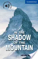 În umbra muntelui Nivelul 5 - In the Shadow of the Mountain Level 5
