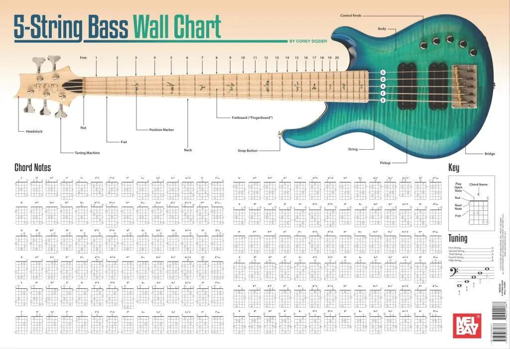 Grafic de perete pentru bas cu 5 corzi - 5-String Bass Wall Chart