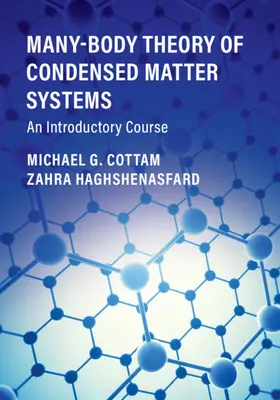 Teoria multor corpuri a sistemelor de materie condensată: An Introductory Course - Many-Body Theory of Condensed Matter Systems: An Introductory Course
