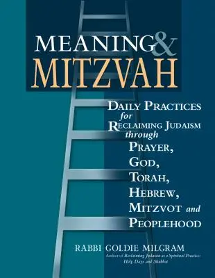 Meaning & Mitzvah: Daily Practices for Reclaiming Judaism Through Prayer, God, Torah, Hebrew, Mitzvot and Peoplehood (Practici zilnice pentru recuperarea iudaismului prin rugăciune, Dumnezeu, Tora, ebraică, Mitzvot și popor) - Meaning & Mitzvah: Daily Practices for Reclaiming Judaism Through Prayer, God, Torah, Hebrew, Mitzvot and Peoplehood