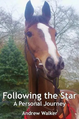 Urmărind steaua - Following the Star
