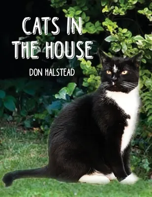 Pisici în casă - Cats in the House