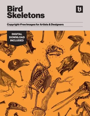 Schelete de păsări: Imagini libere de drepturi de autor pentru artiști și designeri - Bird Skeletons: Copyright-Free Images for Artists & Designers