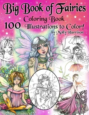 Big Book of Fairies Coloring Book - 100 de pagini de zâne cu flori, zâne celeste și zâne cu însoțitorii lor: 100 Line Art Illustrations to C - Big Book of Fairies Coloring Book - 100 Pages of Flower Fairies, Celestial Fairies, and Fairies with their Companions: 100 Line Art Illustrations to C