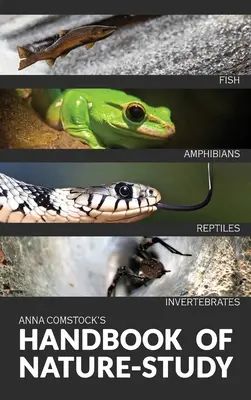 The Handbook Of Nature Study in Color - Pești, reptile, amfibieni, nevertebrate - The Handbook Of Nature Study in Color - Fish, Reptiles, Amphibians, Invertebrates