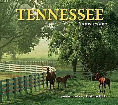 Impresii din Tennessee - Tennessee Impressions