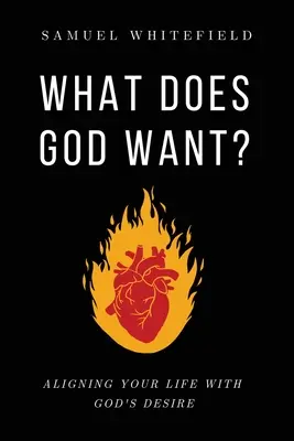 Ce vrea Dumnezeu?: Alinierea vieții tale cu dorința lui Dumnezeu - What Does God Want?: Aligning Your Life with God's Desire