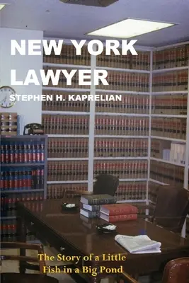 avocat din new york - new york lawyer