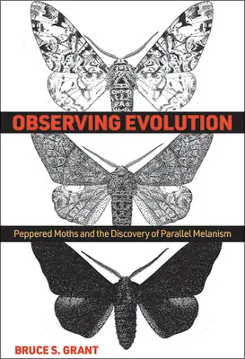Observarea evoluției: Molia piperată și descoperirea melanismului paralel - Observing Evolution: Peppered Moths and the Discovery of Parallel Melanism