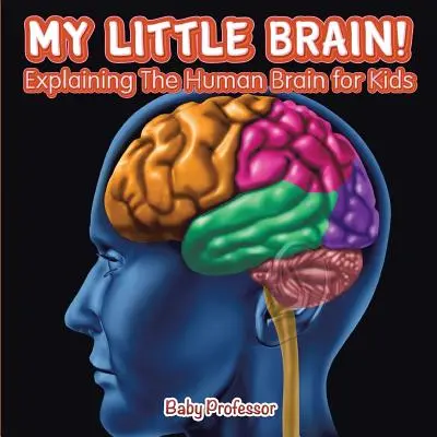 Micul meu creier! - Explicarea creierului uman pentru copii - My Little Brain! - Explaining The Human Brain for Kids