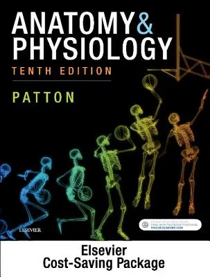 Anatomie și fiziologie - pachet de text și manual de laborator - Anatomy & Physiology - Text and Laboratory Manual Package