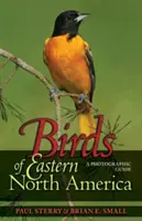 Păsările din estul Americii de Nord: Un ghid fotografic un ghid fotografic - Birds of Eastern North America: A Photographic Guide a Photographic Guide