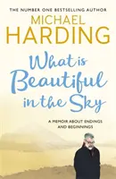 What is Beautiful in the Sky - O carte despre sfârșituri și începuturi - What is Beautiful in the Sky - A book about endings and beginnings