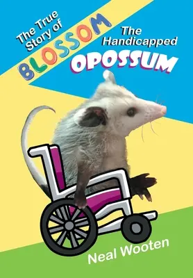 Povestea adevărată a oposumului handicapat Blossom - The True Story of Blossom the Handicapped Opossum