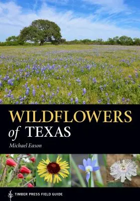 Flori sălbatice din Texas - Wildflowers of Texas