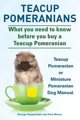 Teacup Pomeranians. Manualul câinelui Pomeranian în miniatură sau Teacup Pomeranian. Ce trebuie să știți înainte să cumpărați un Pomeranian Teacup. - Teacup Pomeranians. Miniature Pomeranian or Teacup Pomeranian Dog Manual. What You Need to Know Before You Buy a Teacup Pomeranian.