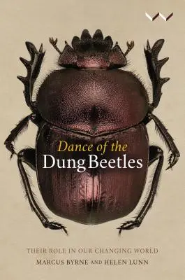 Dansul gândacilor de bălegar: Rolul lor în lumea noastră în schimbare - Dance of the Dung Beetles: Their Role in Our Changing World