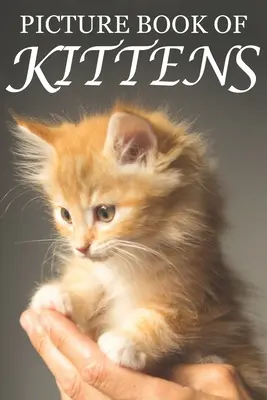 Picture Book of Kittens: Picture Book of Kittens: Pentru seniori cu demență [Cărți ilustrate drăguțe] - Picture Book of Kittens: Picture Book of Kittens: For Seniors with Dementia [Cute Picture Books]