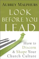 Privește înainte de a conduce: Cum să discerni și să modelezi cultura bisericii tale - Look Before You Lead: How to Discern and Shape Your Church Culture