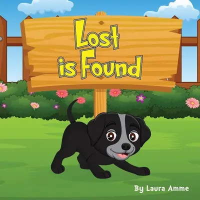 Pierdut este găsit - Lost is Found