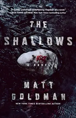 The Shallows: Un roman Nils Shapiro - The Shallows: A Nils Shapiro Novel