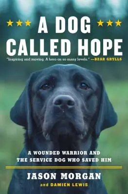 Un câine numit Hope: Războinicul rănit din Forțele Speciale și câinele care a îndrăznit să-l iubească - A Dog Called Hope: The Special Forces Wounded Warrior and the Dog Who Dared to Love Him